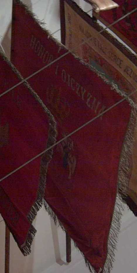 80th Infantry Regiment flag